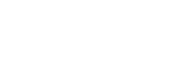 SARCASMES